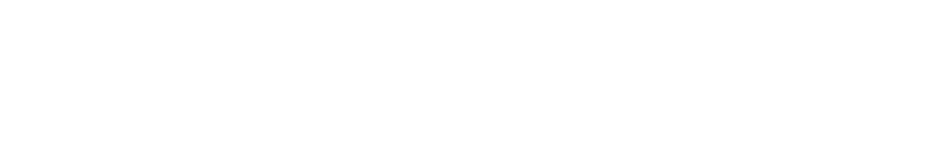 logo-blue-turtle-hole-white